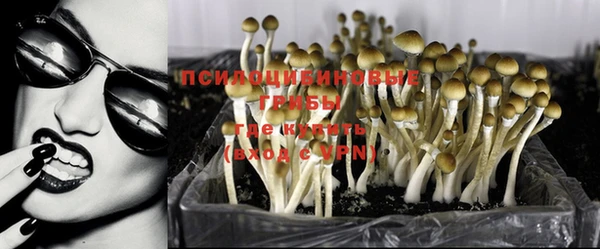 прущая мука Алзамай