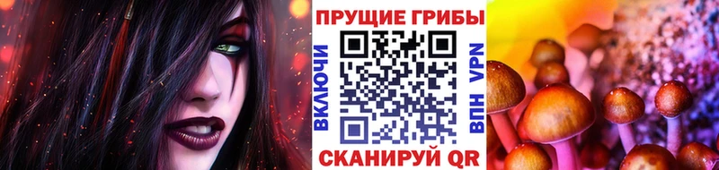 Галлюциногенные грибы Magic Shrooms  Барнаул 